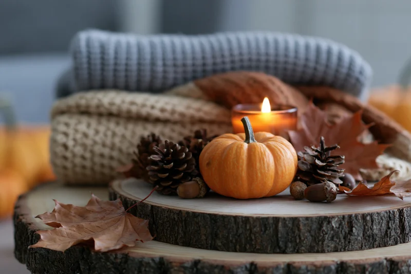 Small orange pumpkin with pinecones, acorns and autumn leaves on a wooden tree slice centerpiece