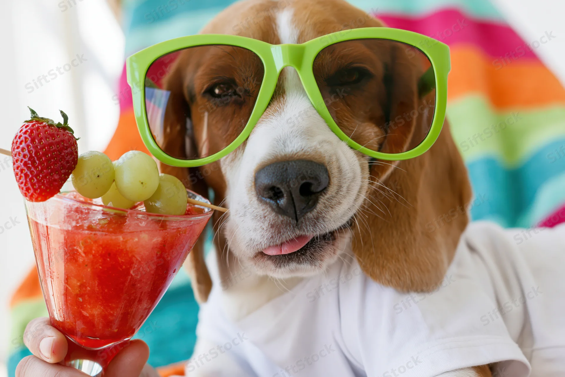 Beagle wearing oversized green sunglasses and white shirt, holding a strawberry cocktail garnished with fruit, in a colorful beach setting