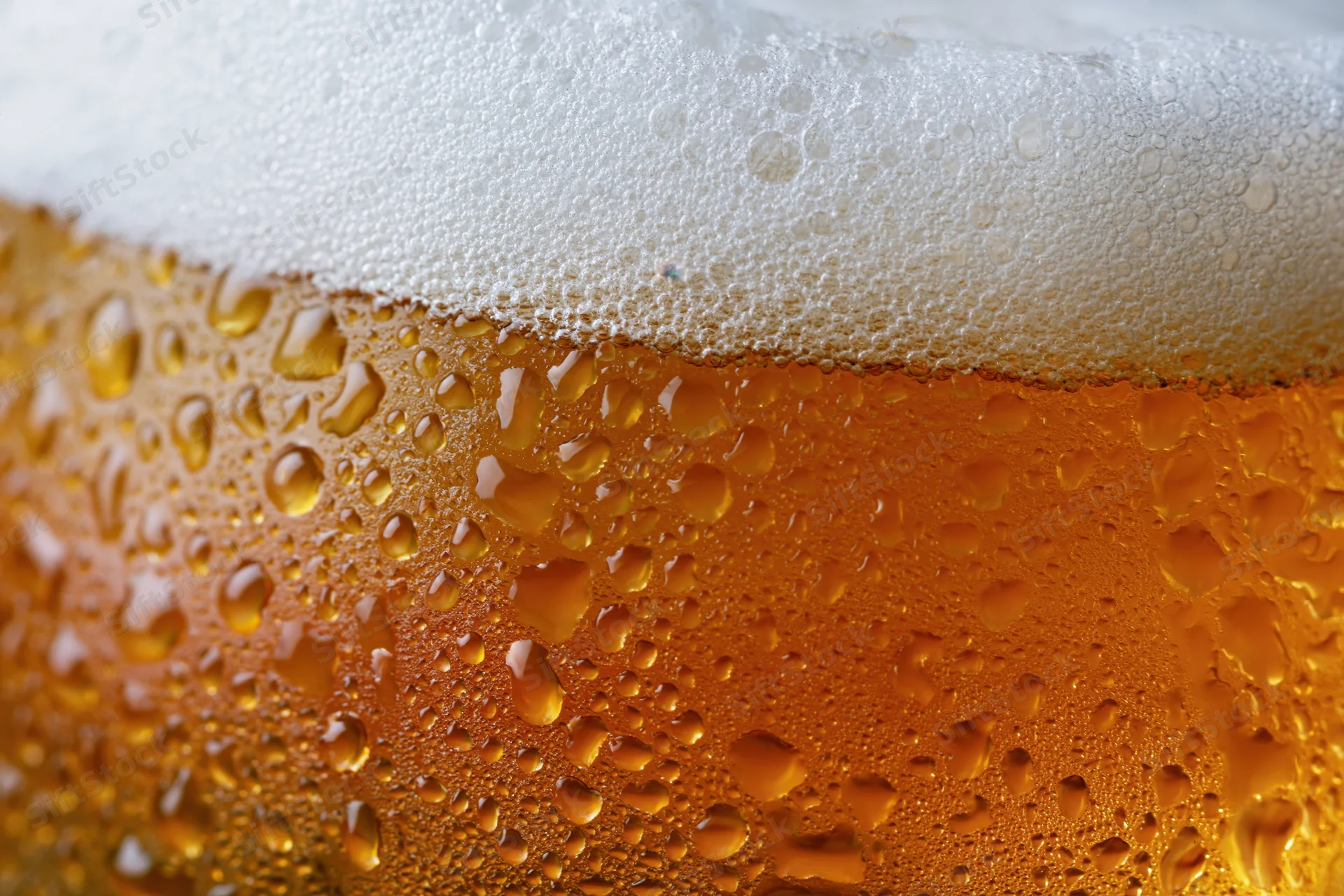 Close-up of condensation droplets on a cold beer glass with white foam head