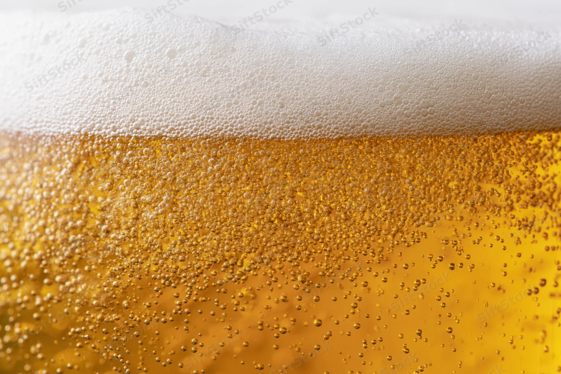 Close-up of golden lager beer with thick white foam and rising bubbles in a glass