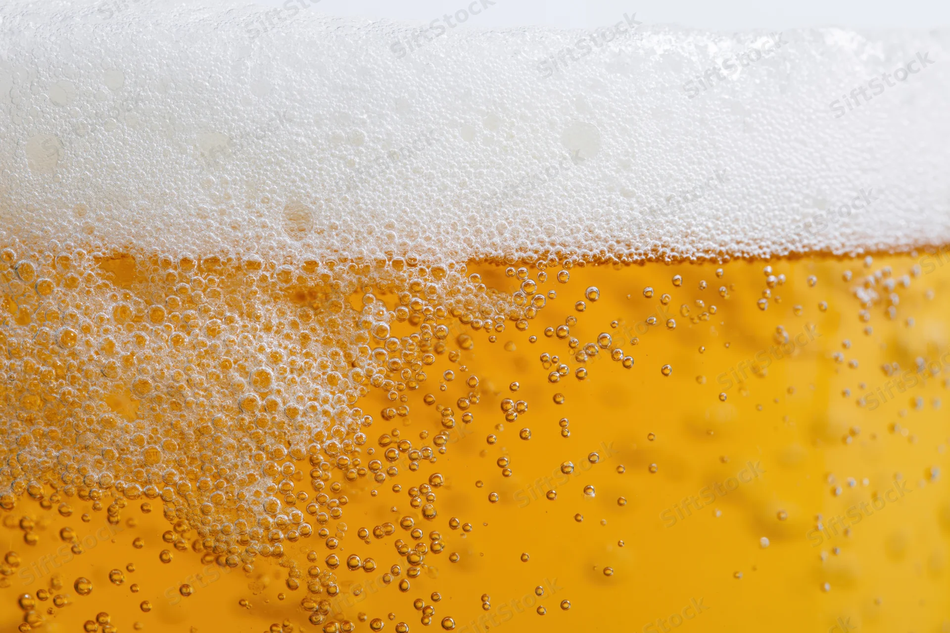Close-up of golden lager beer with thick white foam and rising bubbles in a glass