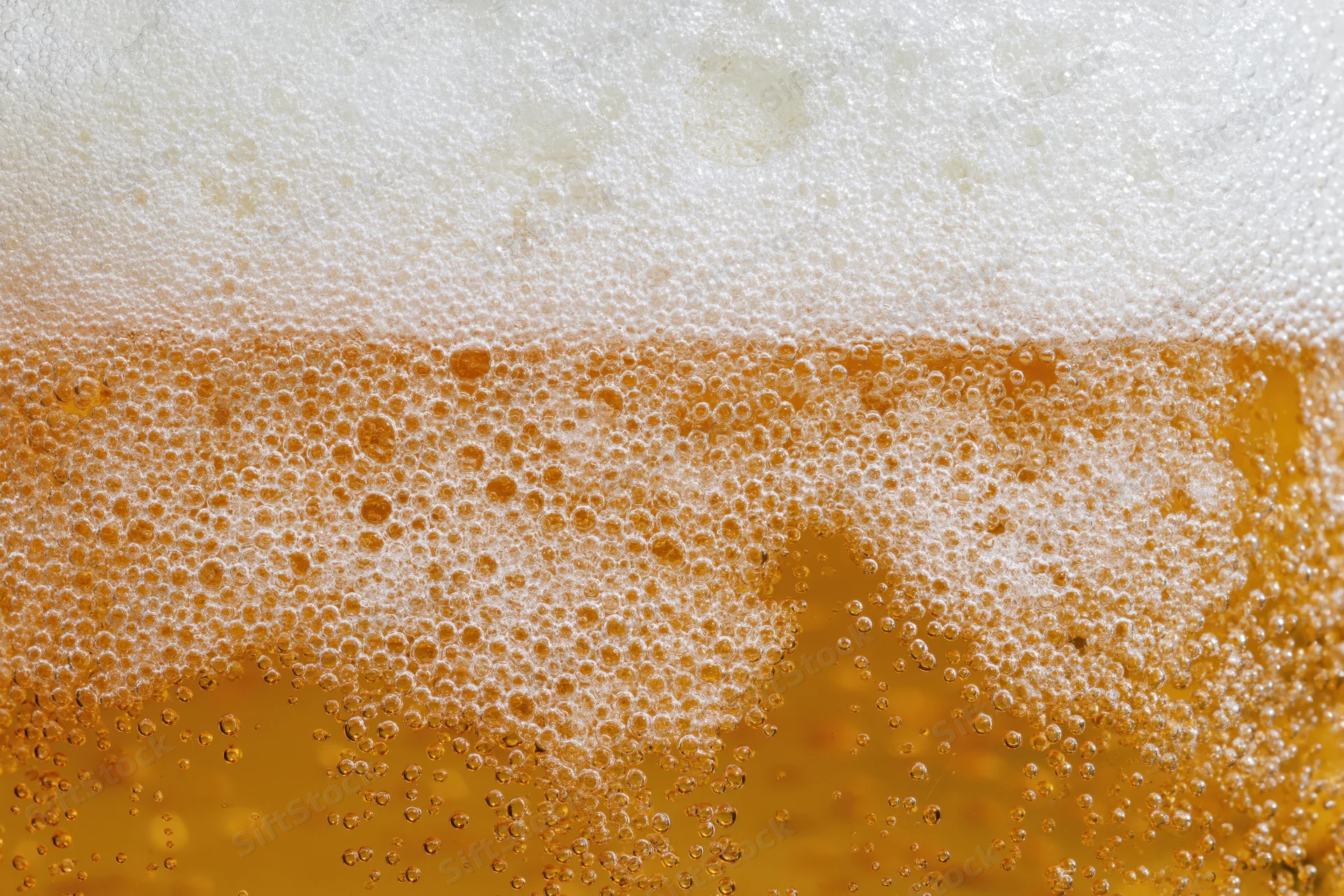 Close-up of golden lager beer with thick white foam and rising bubbles in a glass