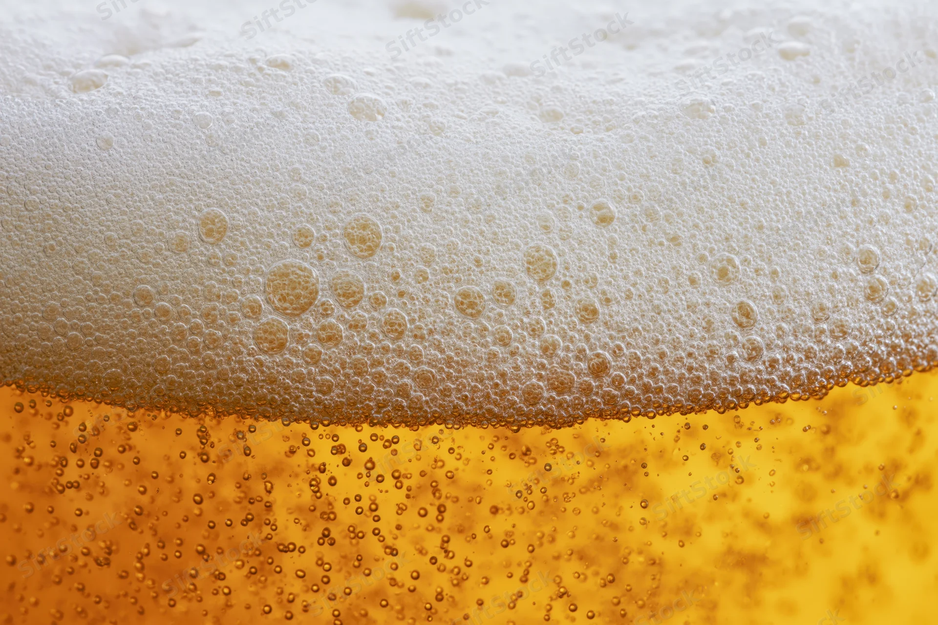 Golden lager beer with thick foam head and rising bubbles in close-up view