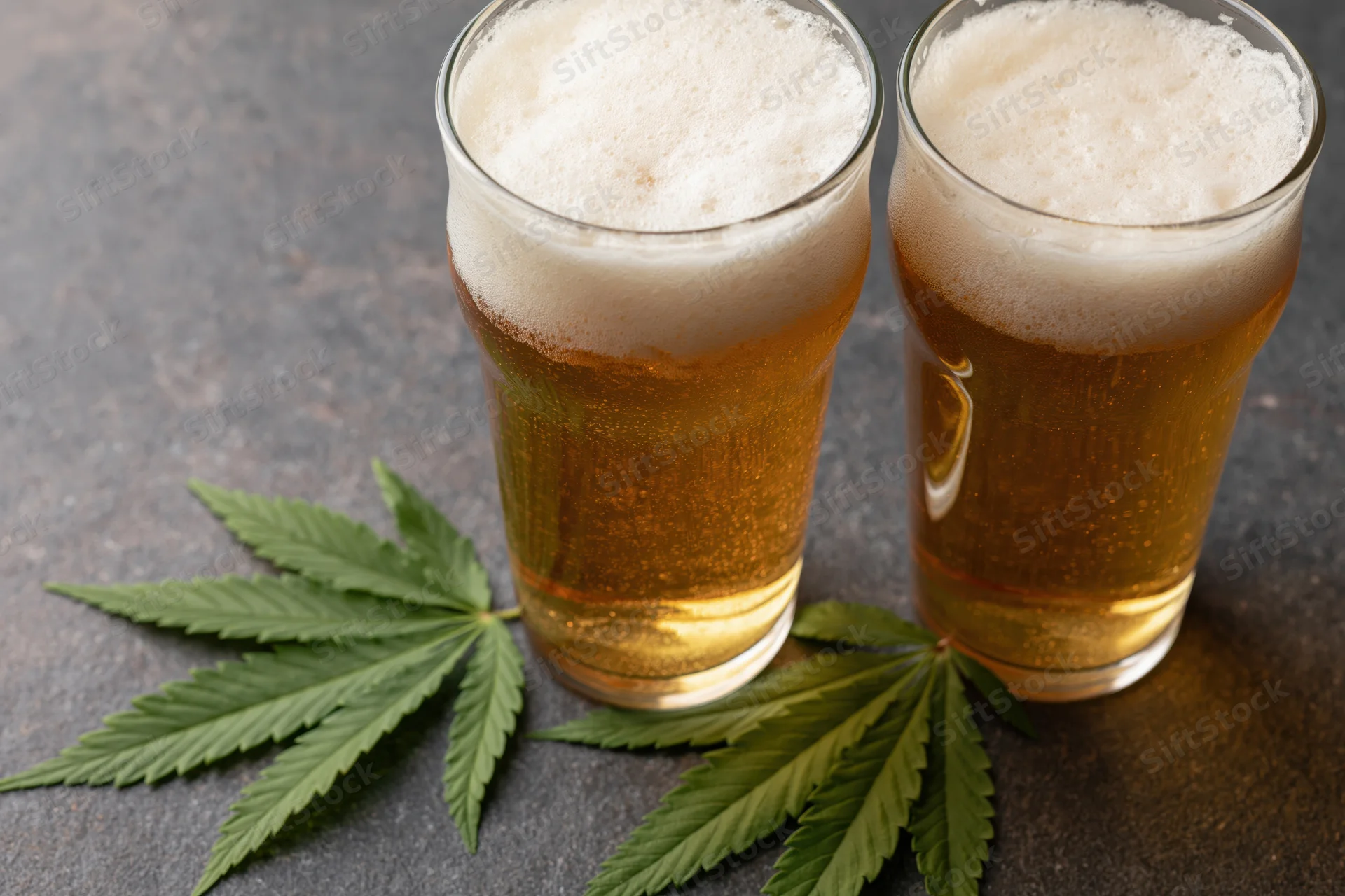 Two pint glasses of pale golden lager with white foam beside cannabis leaves on dark surface
