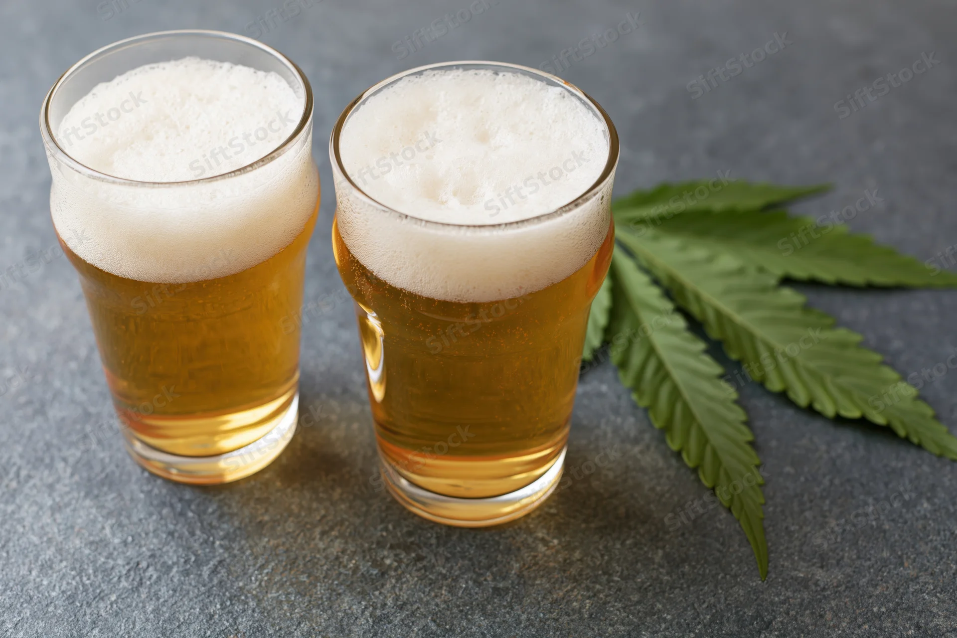 Two pint glasses of golden lager with white foam beside a cannabis leaf on a dark surface