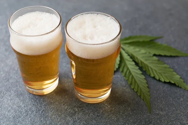Two pint glasses of golden lager with white foam beside a cannabis leaf on a dark surface