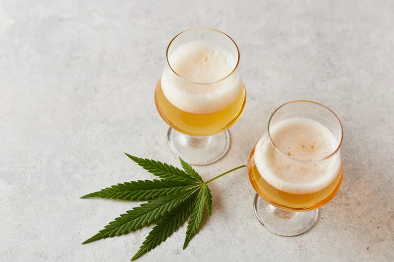 Two tulip glasses filled with pale golden beer topped with foam beside a cannabis leaf on a light stone surface
