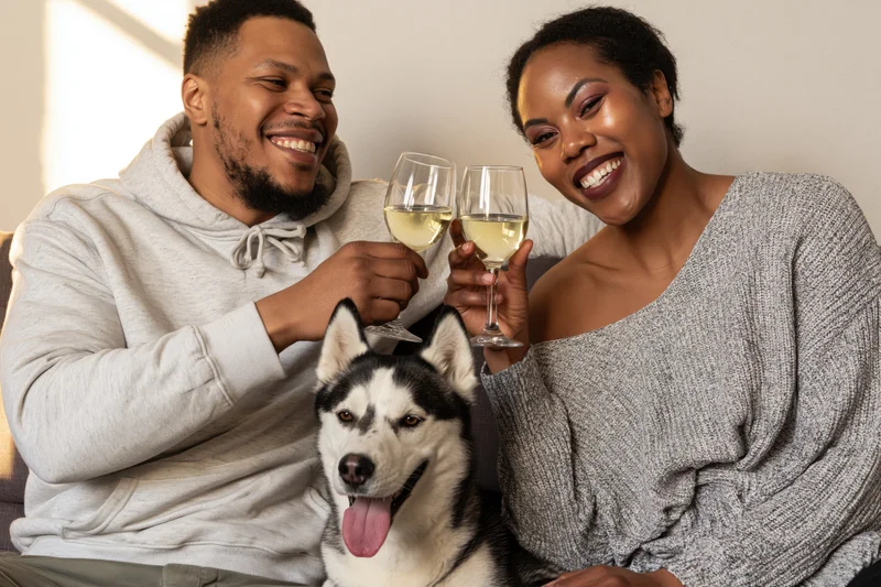 Couple toasting with wine glasses while sitting on couch with husky dog between them