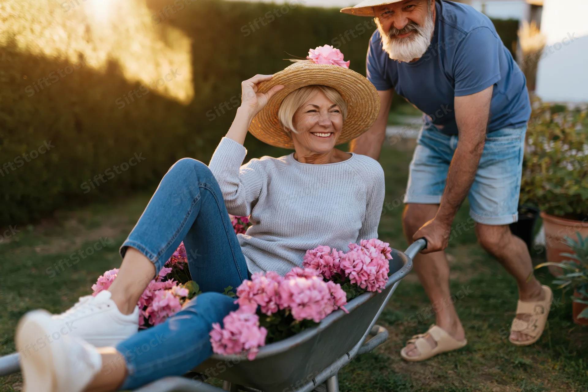 Senior couple enjoying garden together, woman in wheelbarrow with pink flowers, man pushing, smiling, outdoors in yard at golden hour