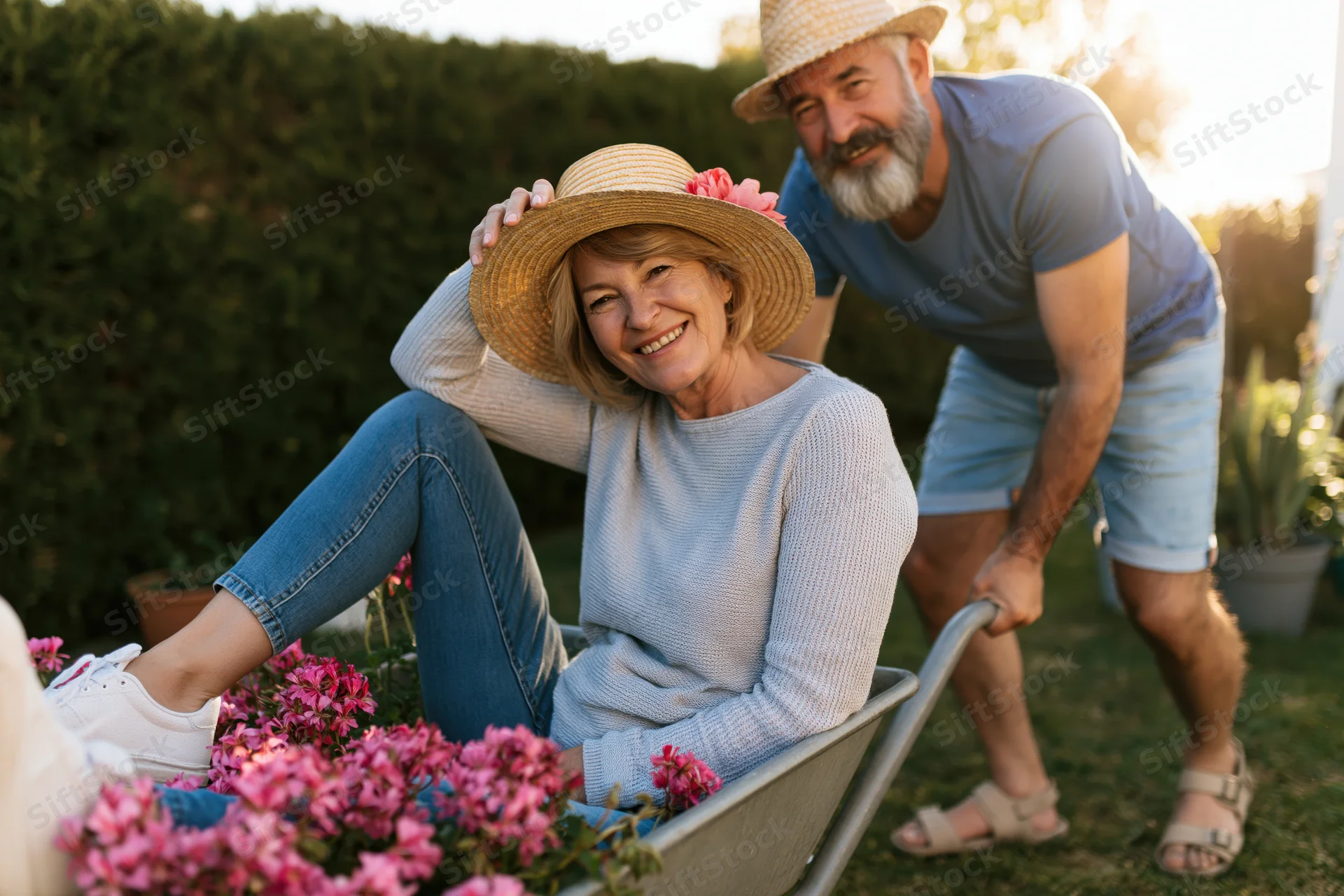 Senior couple smiling in garden with woman in wheelbarrow filled with pink flowers, man pushing it, surrounded by greenery and hedge at golden hour