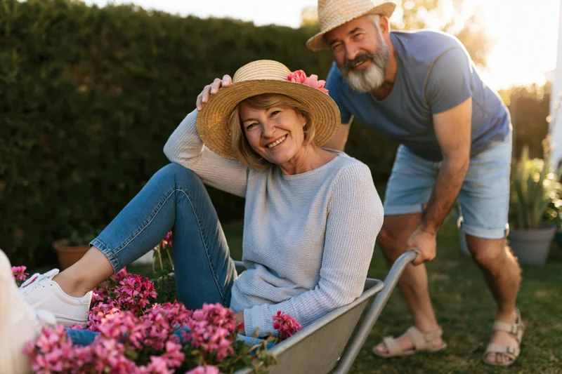 Senior couple smiling in garden with woman in wheelbarrow filled with pink flowers, man pushing it, surrounded by greenery and hedge at golden hour