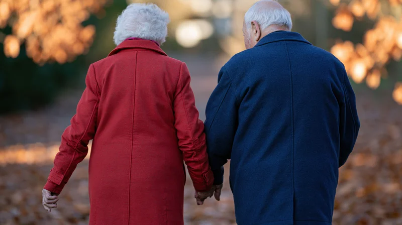 Elderly couple walking away hand in hand through autumn park