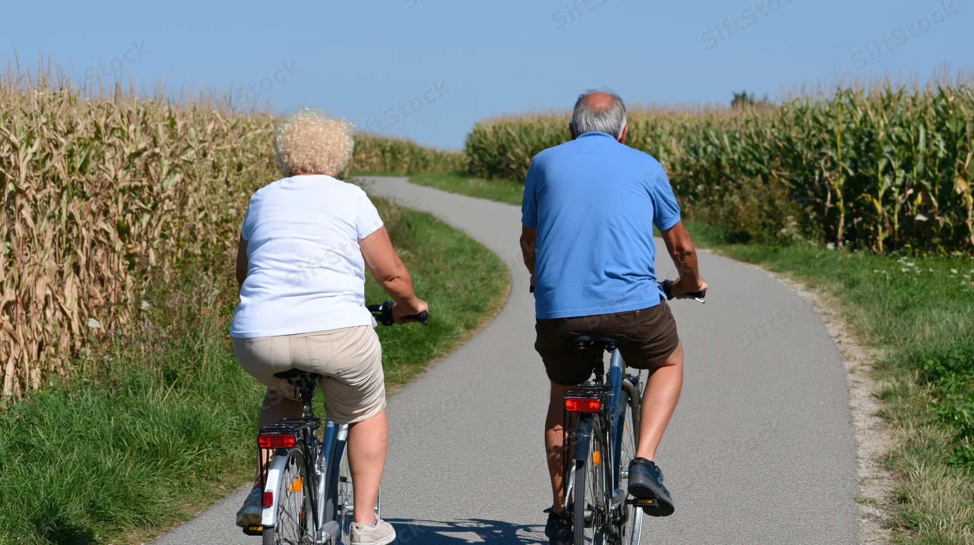 Senior couple cycling away on a paved rural path between cornfields