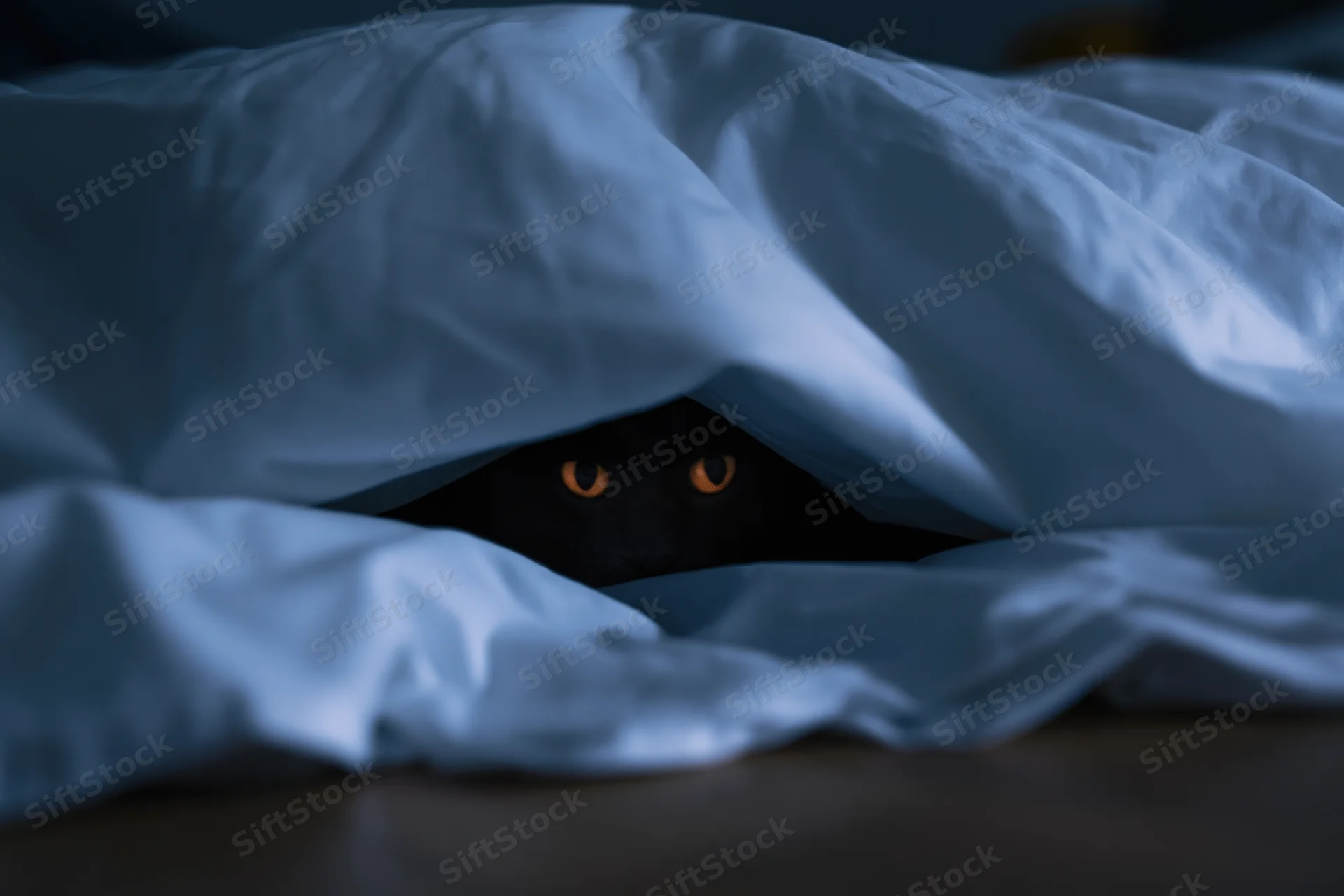 Black cat hiding under white blanket in bed at night, eyes glowing amber in dim light