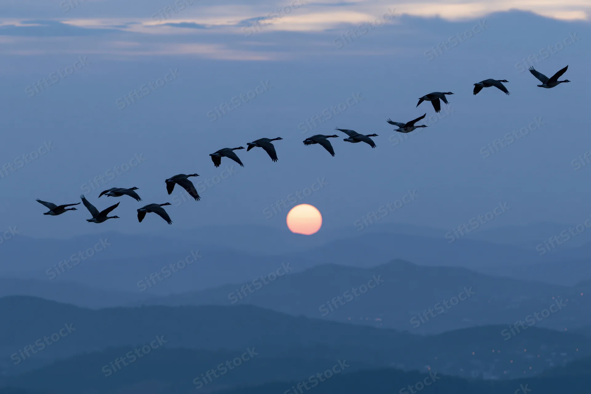 Geese flying in v-formation silhouetted against sunset over layered mountains