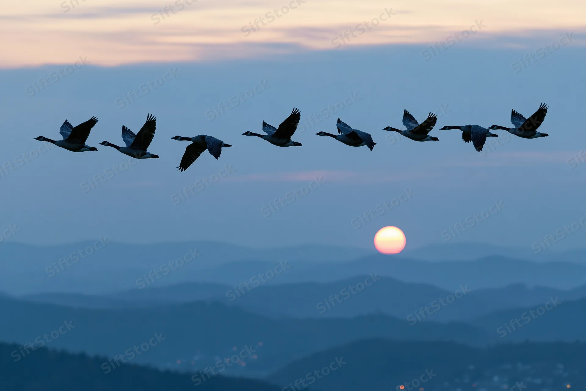 Geese flying in v-formation silhouetted against sunset sky over mountain range