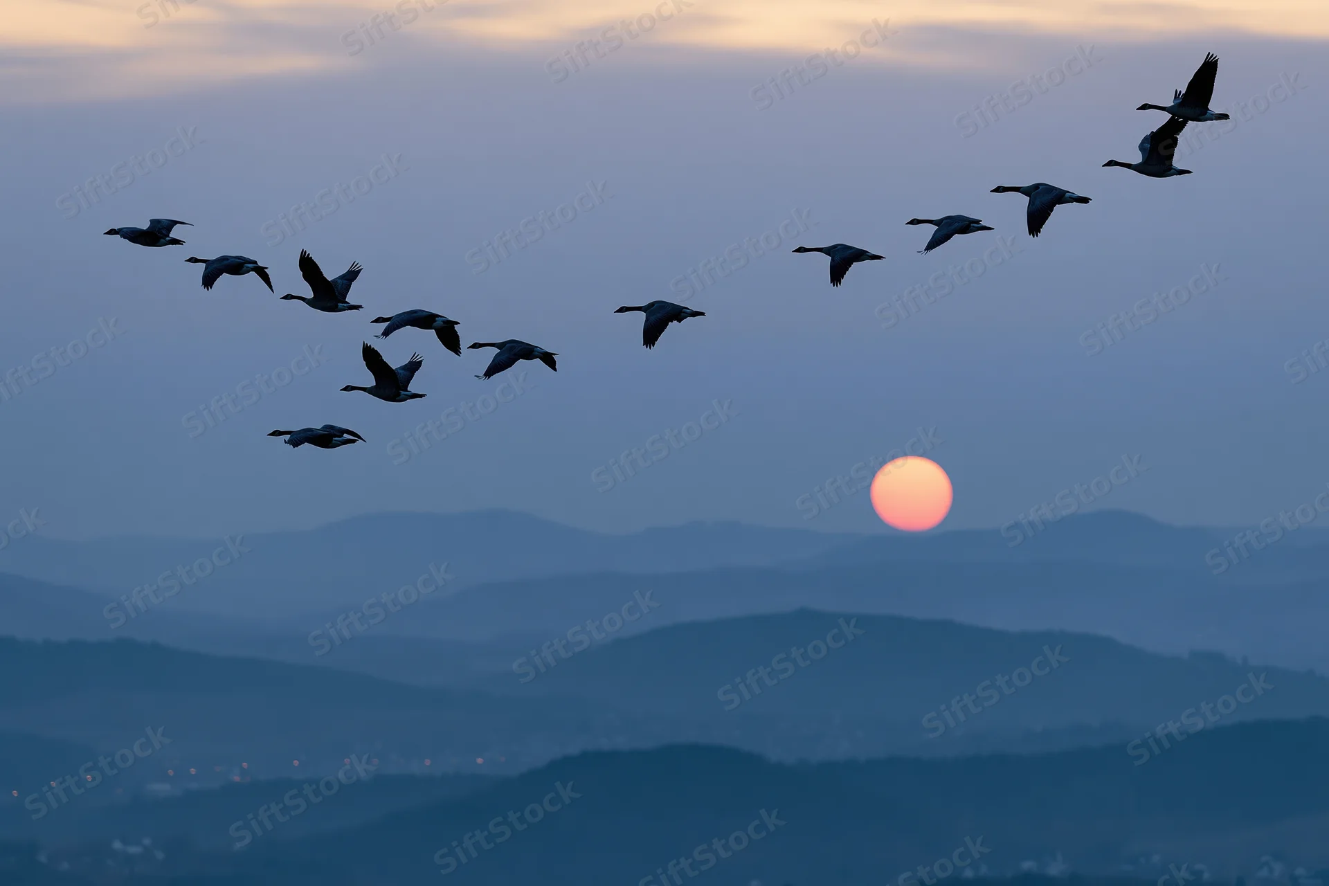 Flock of geese flying in v-formation silhouetted against sunset sky over layered mountains