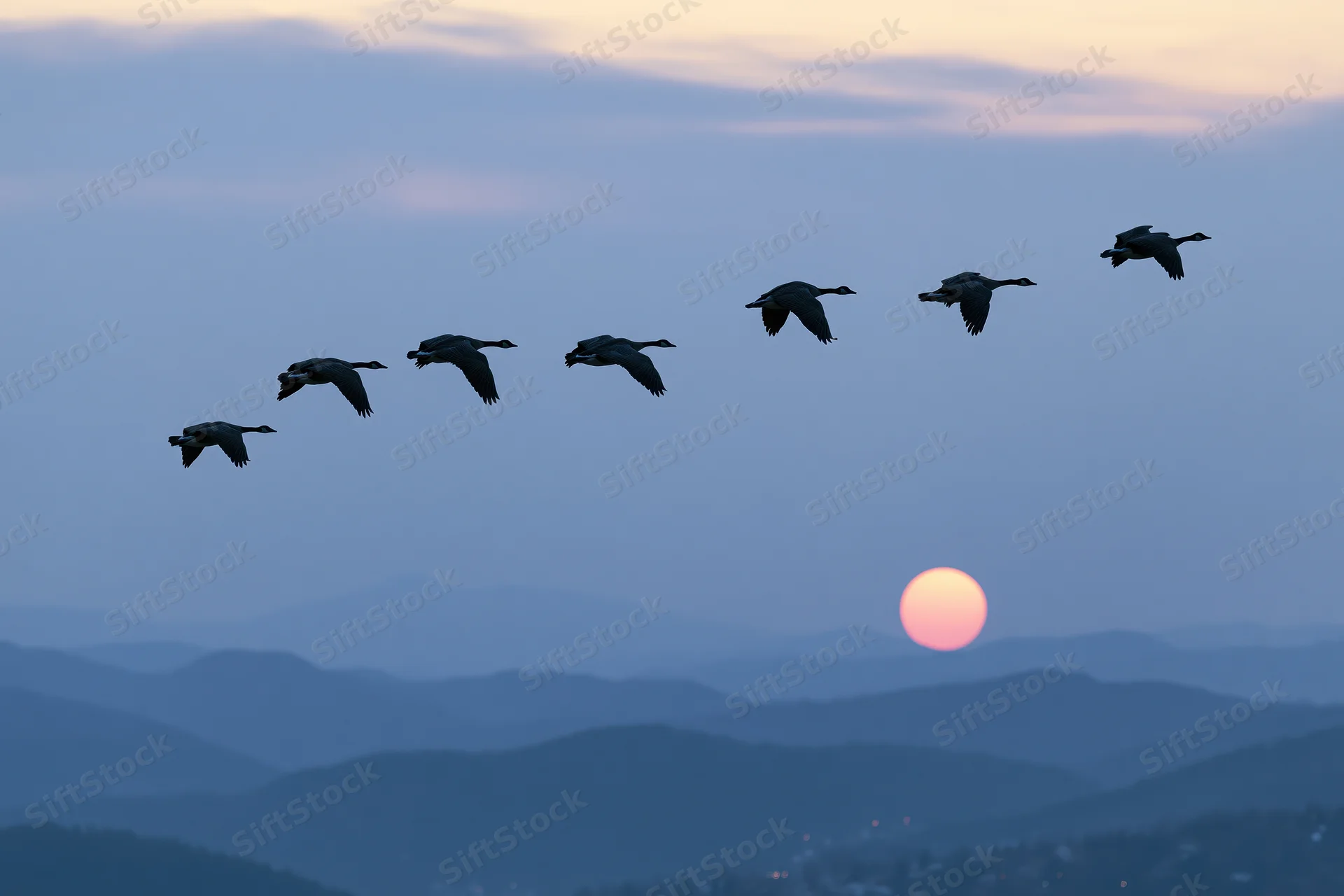 Geese flying in v-formation silhouetted against sunset sky over layered mountains