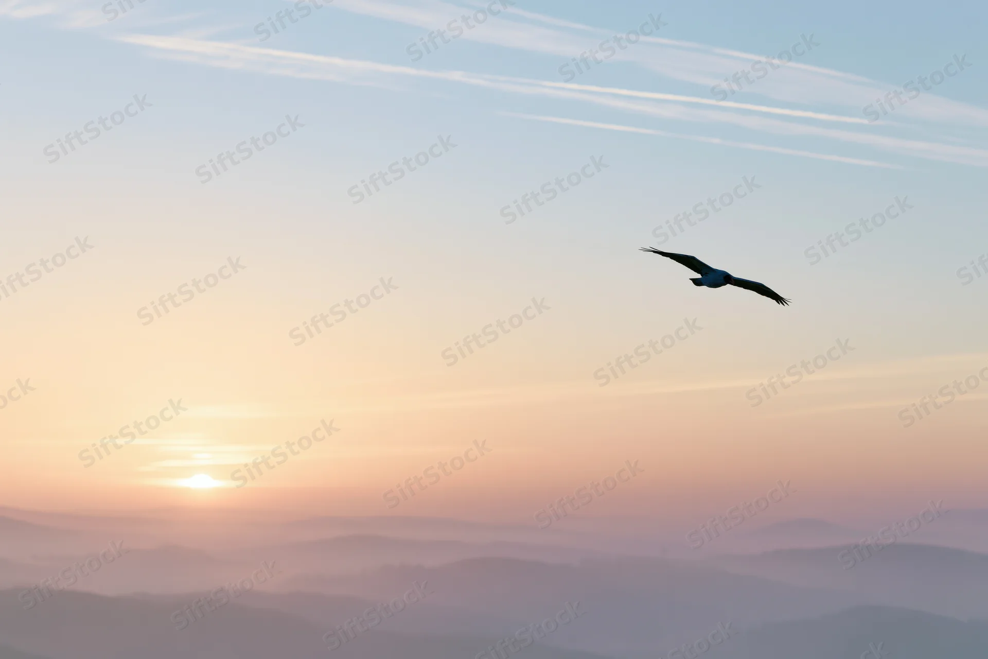 Bird in flight silhouetted against a sunset sky over mountainous terrain