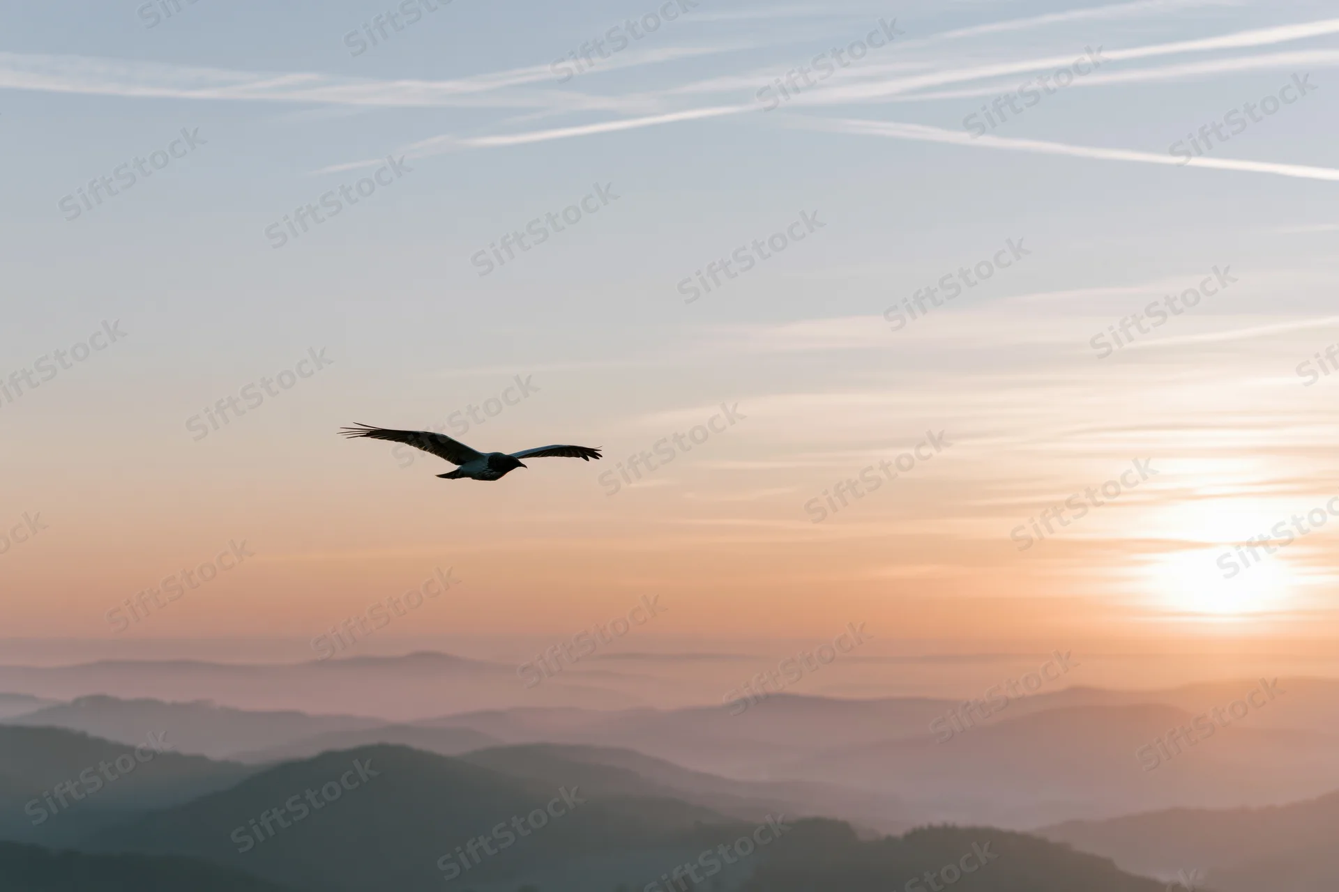 Bird in flight silhouetted against a sunset sky over layered mountains