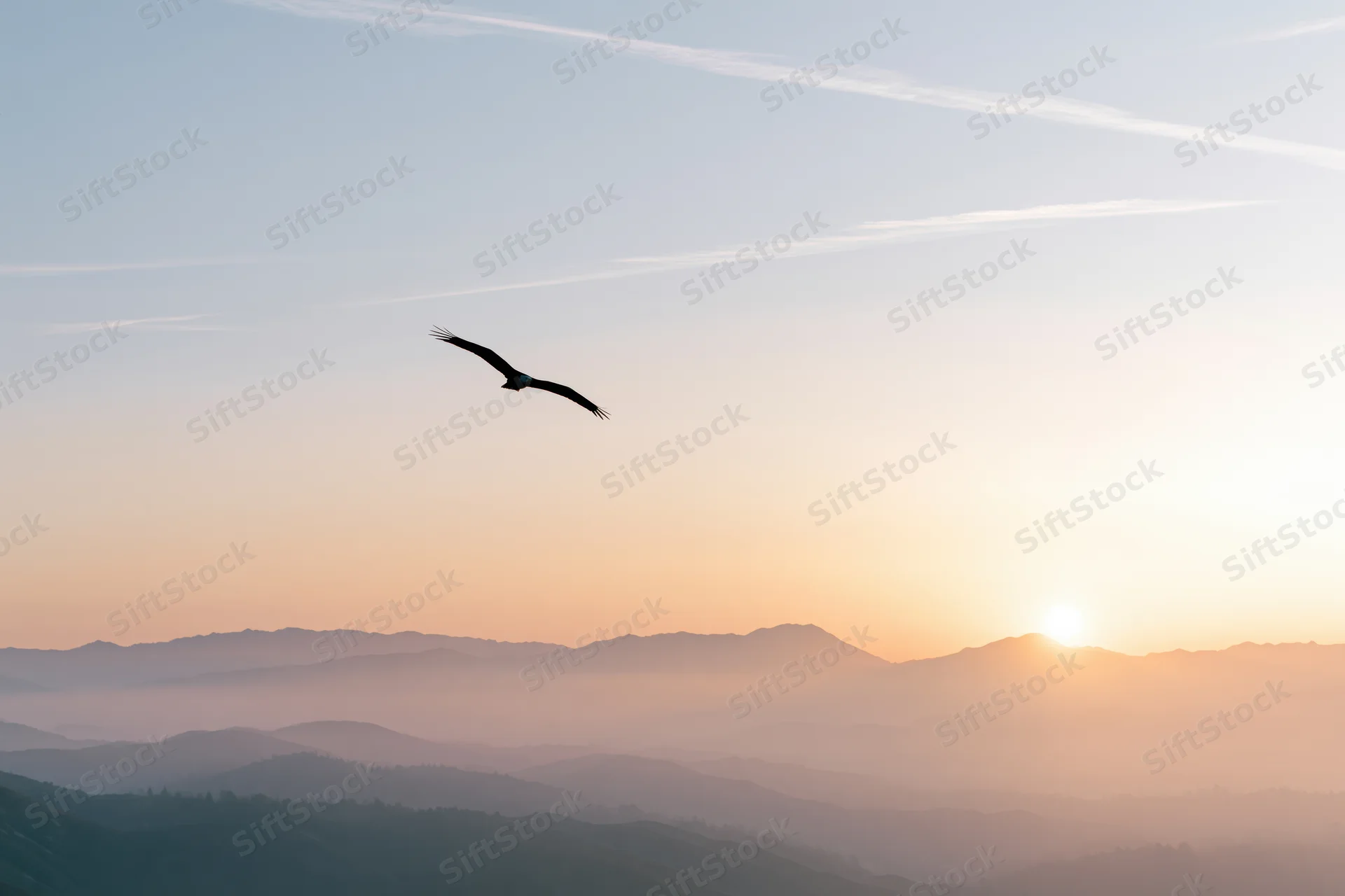 Bird in flight silhouetted against a sunset sky over layered mountains