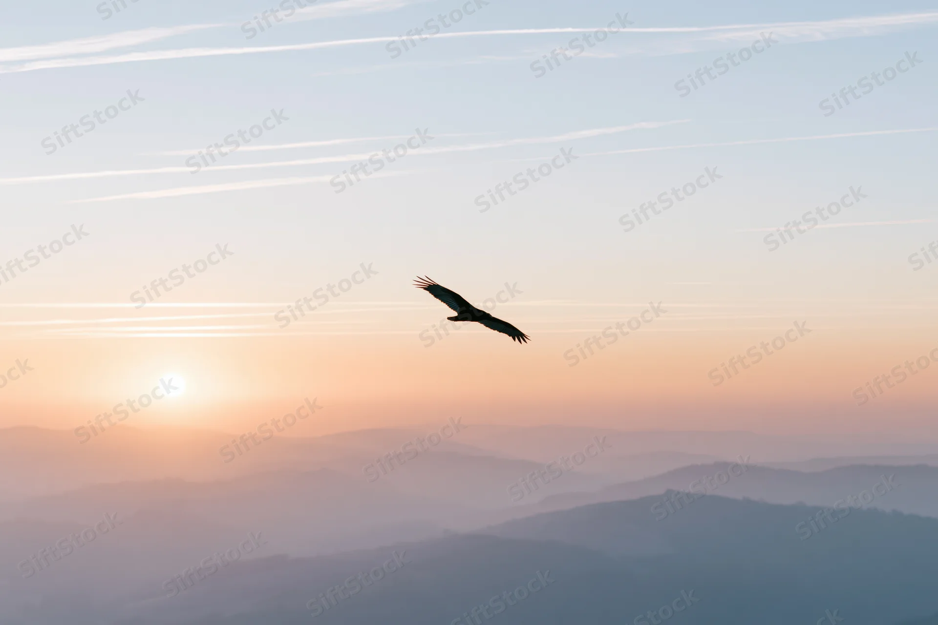Silhouetted bird soaring in mid-flight above layered mountains at sunset