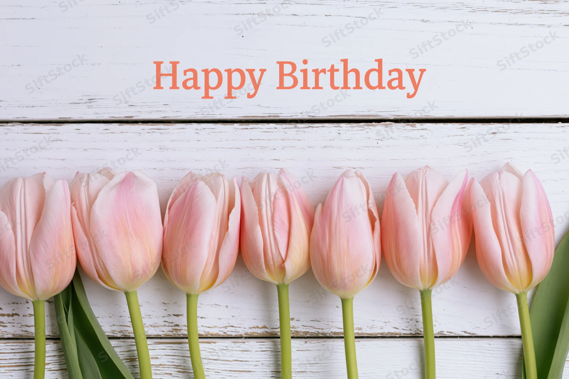 Row of soft pink tulips with green stems arranged along white wooden surface with happy birthday text above