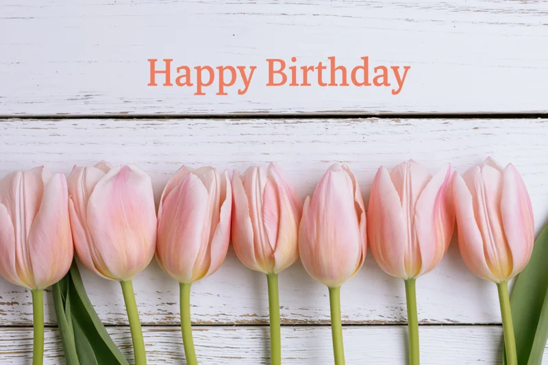 Row of soft pink tulips with green stems arranged along white wooden surface with happy birthday text above