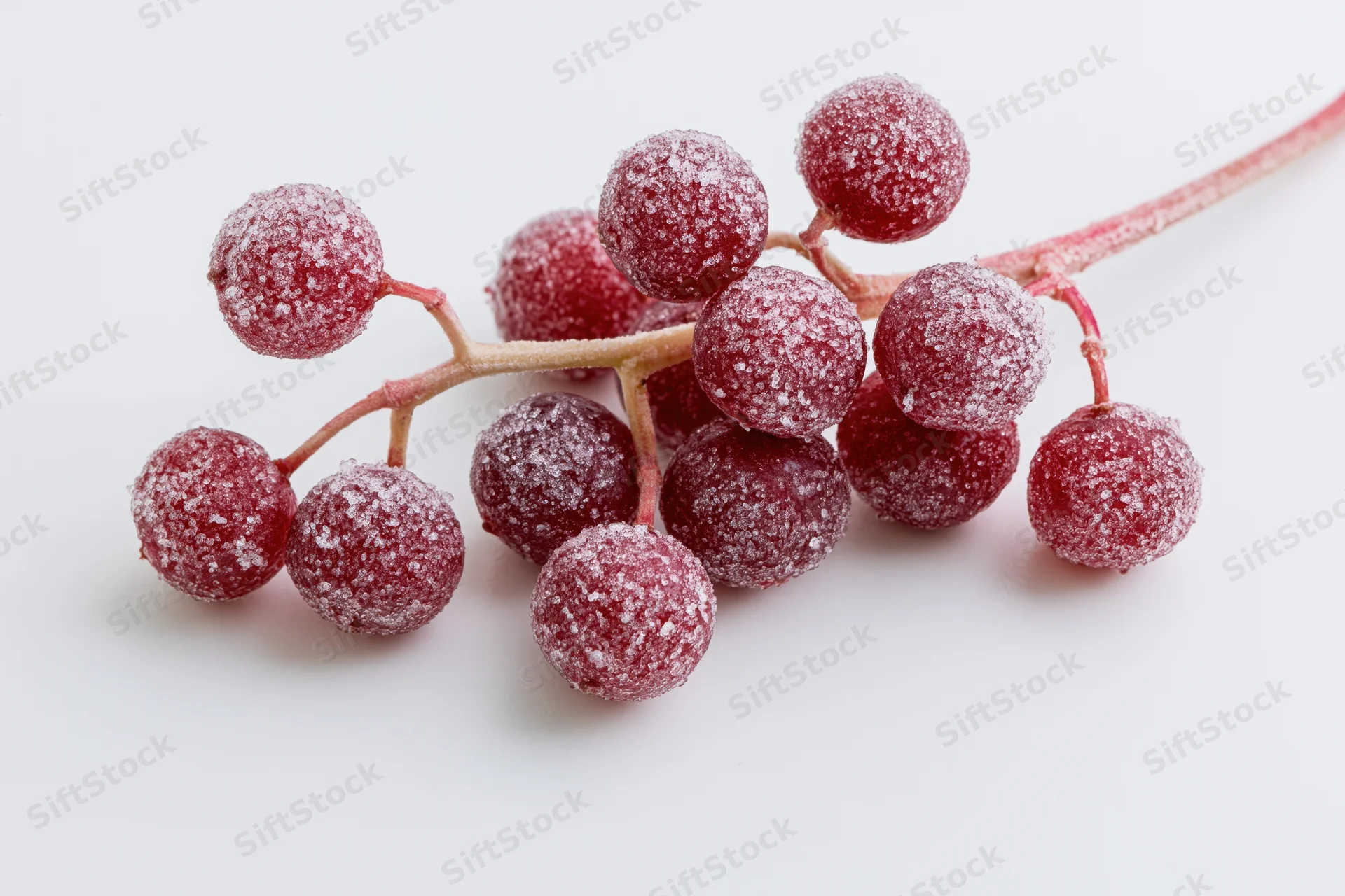 Frosted red berries on a branch against a white background
