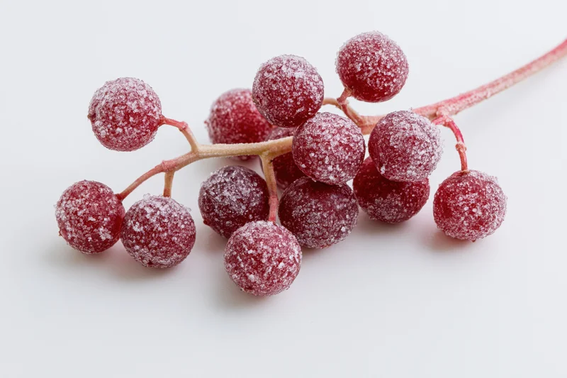 Frosted red berries on a branch against a white background