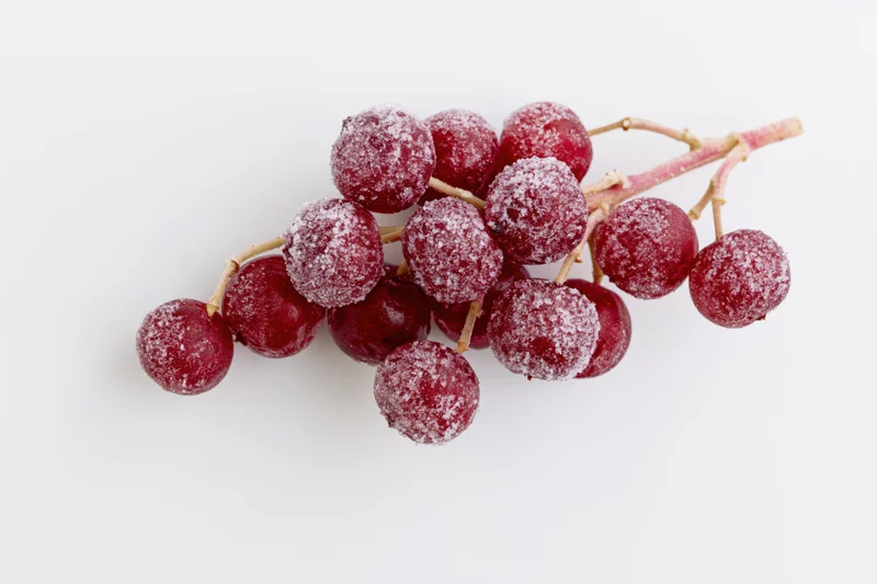 Frosted red berries on a branch against a white background