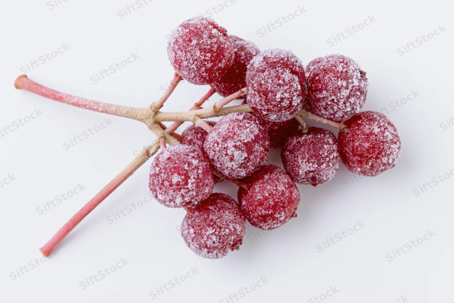 Frosted red berries on a branch against a white background