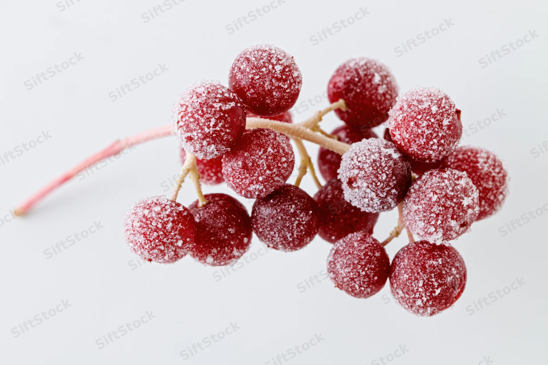 Frosted red berries on a branch against a white background