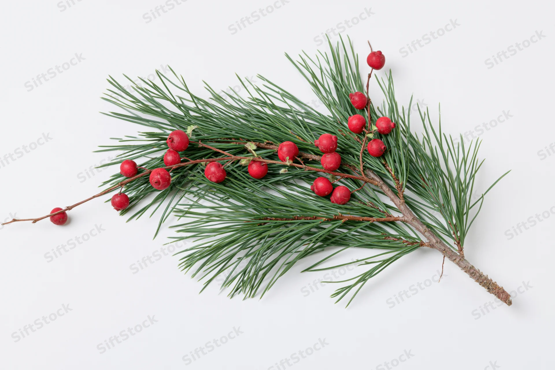 Pine branch with red berries lying flat on white surface
