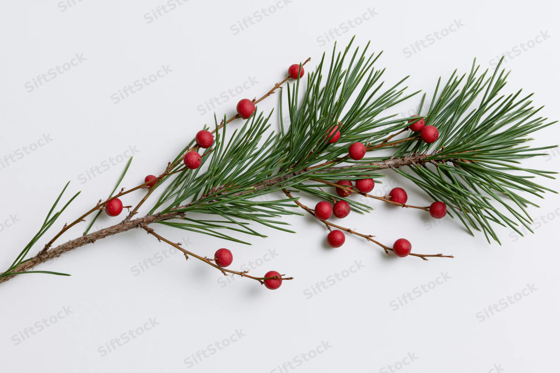 Pine branch with red berries lying flat on white surface