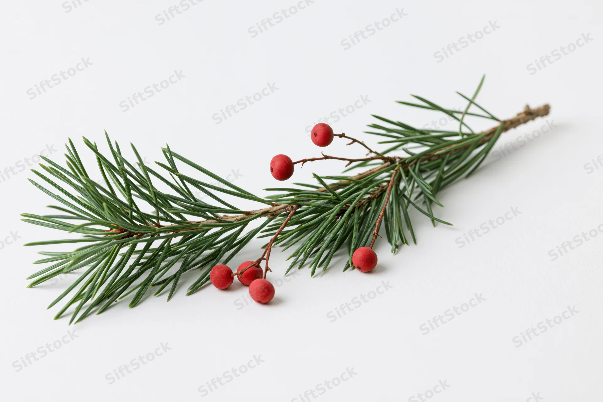 Pine branch with red berries lying on white surface
