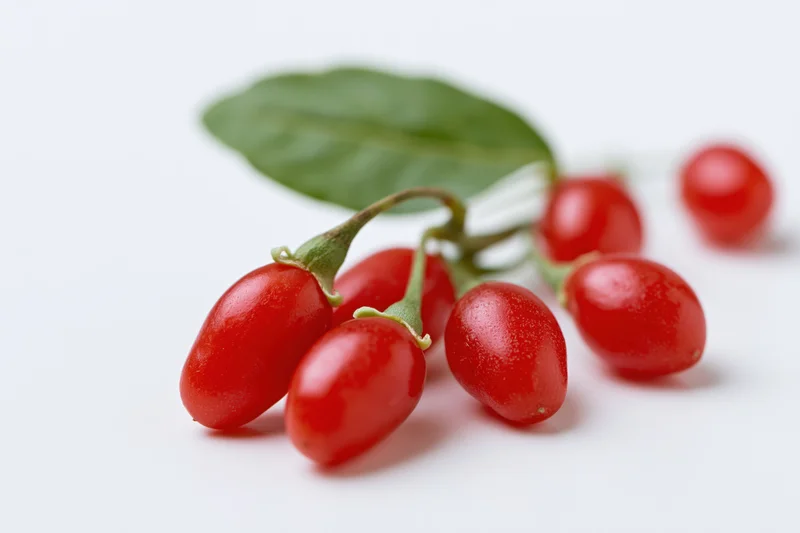 Fresh goji berries with stems and a green leaf on a white background