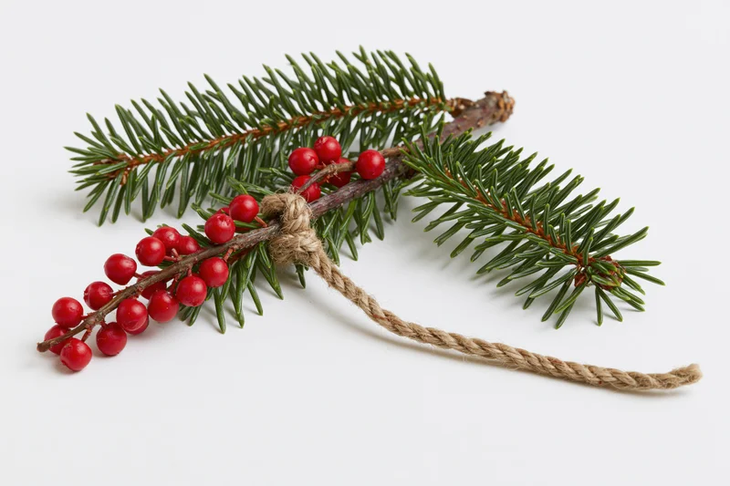 Spruce branch with red berries tied with twine on white background