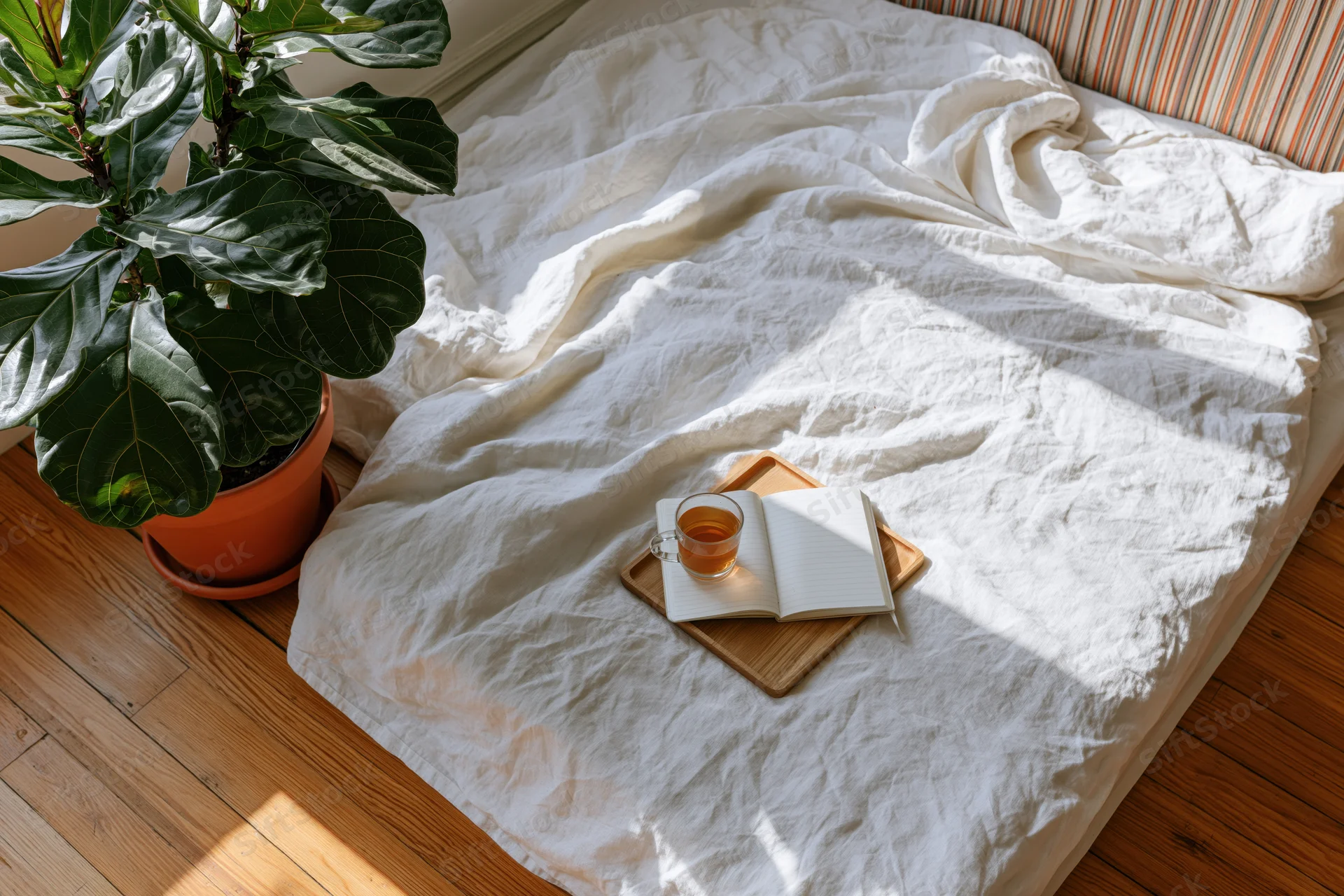 Unmade bed with rumpled white linen sheets, open notebook and tea cup on wooden tray, beside potted fiddleleaf plant in sunlit bedroom