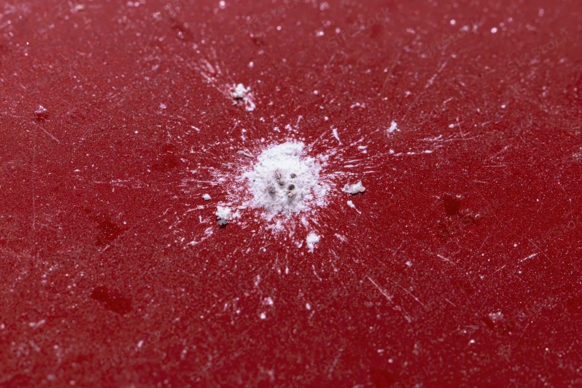 Bird dropping splattered on glossy red car surface