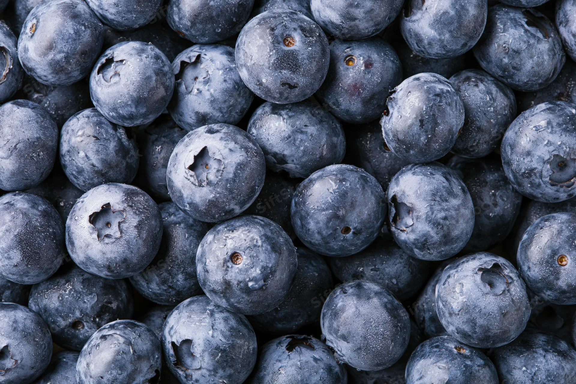 Closeup of fresh blueberries packed tightly together filling the frame