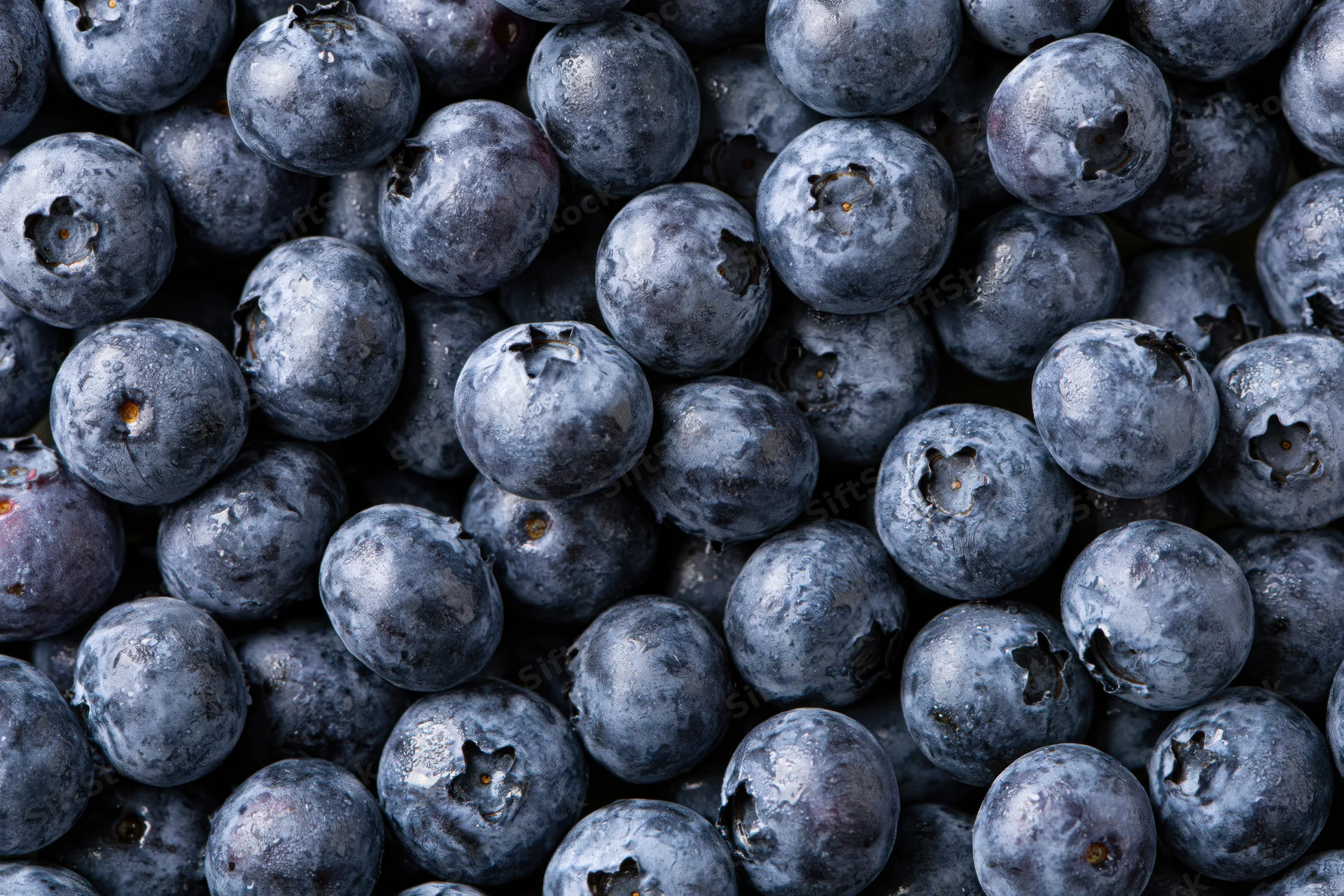 Closeup of fresh blueberries packed tightly together filling the frame