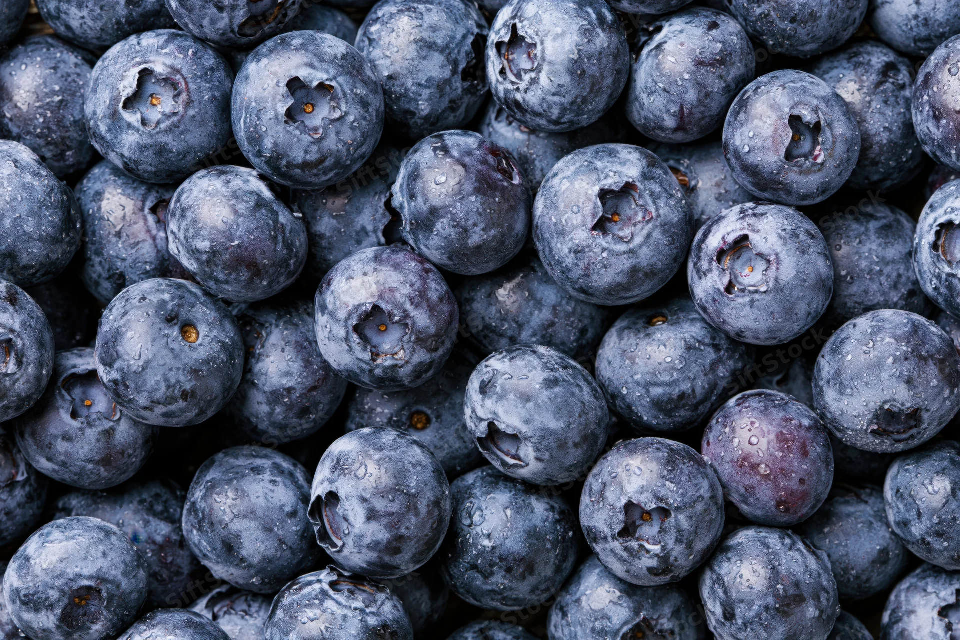 Closeup of fresh blueberries packed tightly together filling the frame