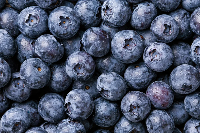 Closeup of fresh blueberries packed tightly together filling the frame