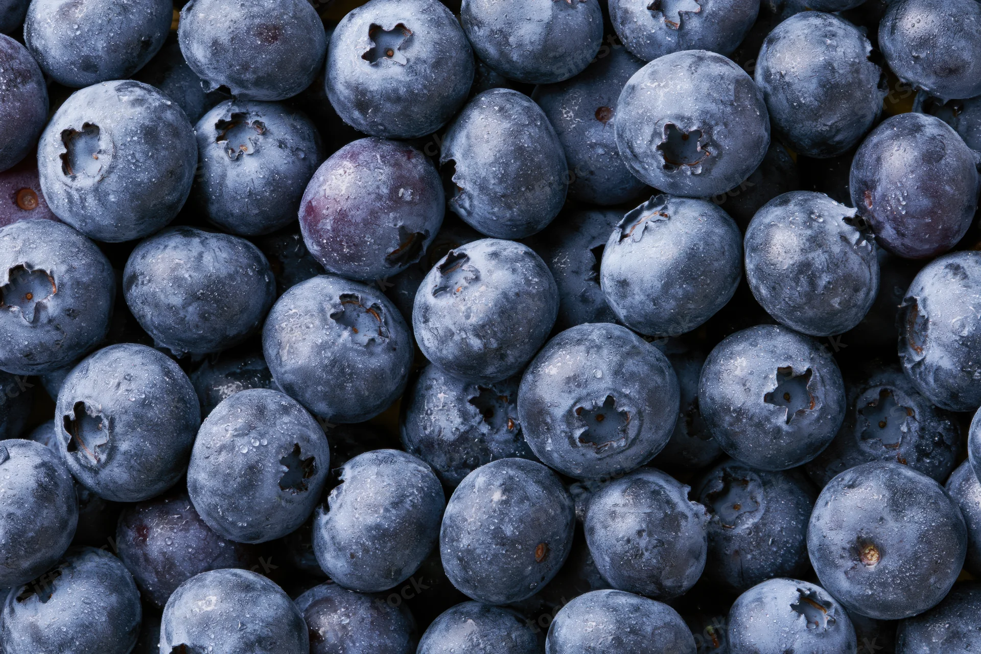 Closeup of fresh blueberries packed tightly together filling the frame