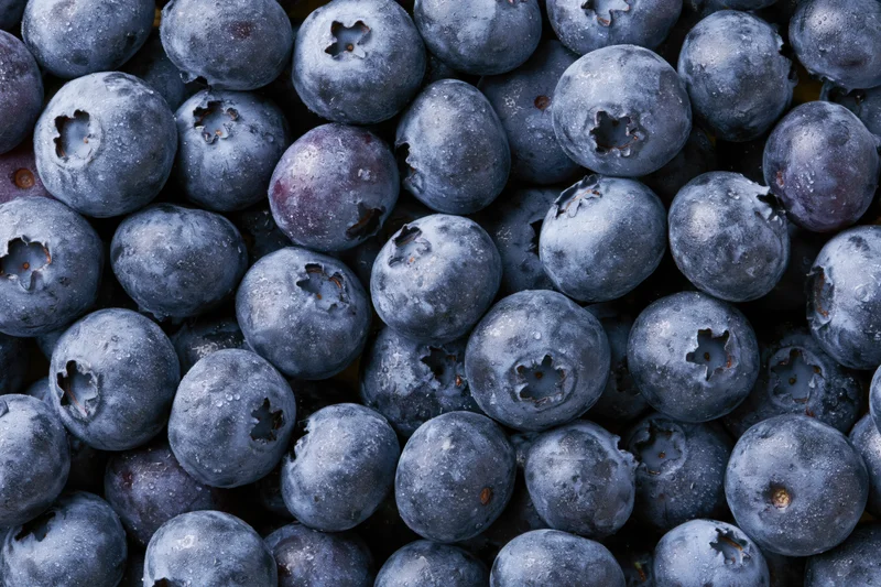 Closeup of fresh blueberries packed tightly together filling the frame