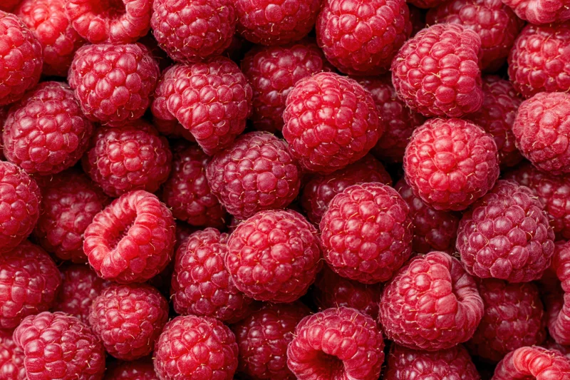 Closeup of fresh ripe raspberries filling the frame