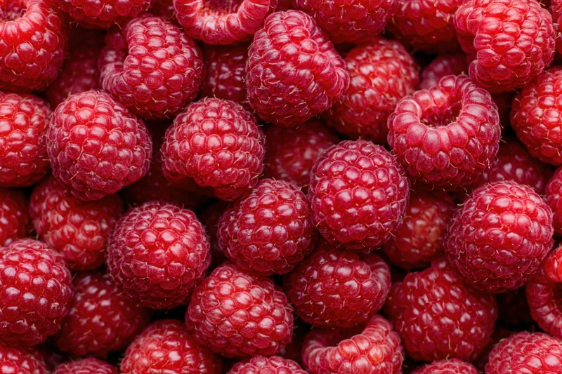 Closeup of fresh ripe raspberries filling the frame