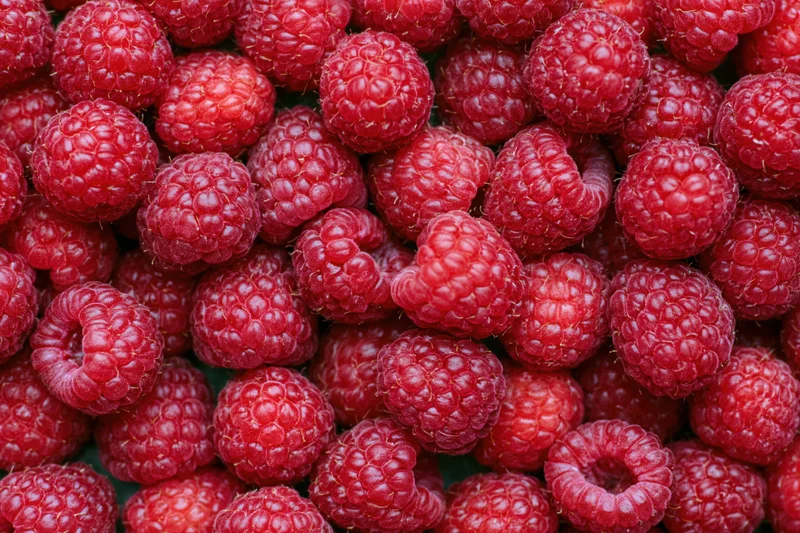 Dozens of fresh ripe raspberries filling the frame, flavorful