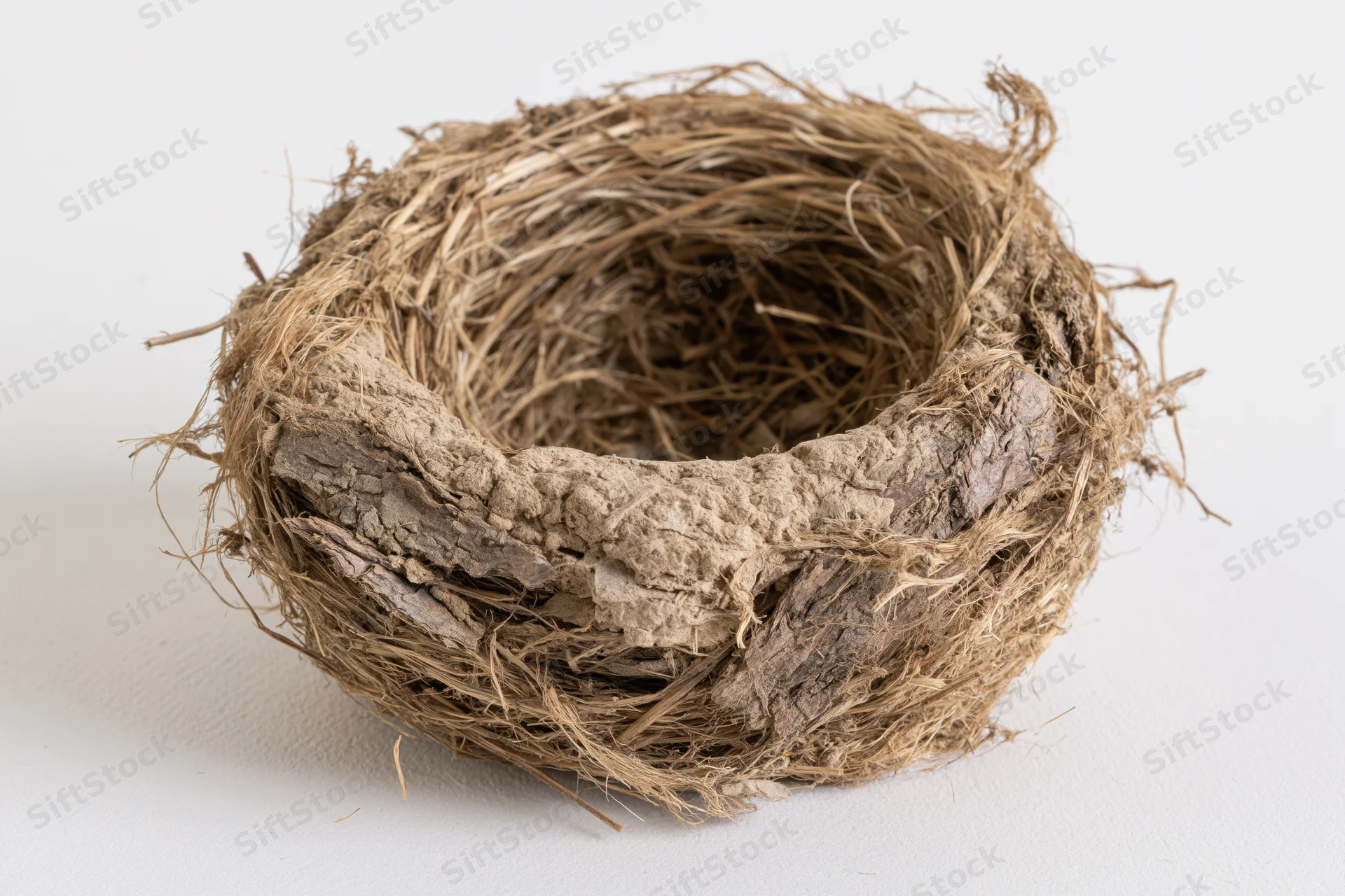 Empty bird nest made of dried grass twigs and mud on white surface